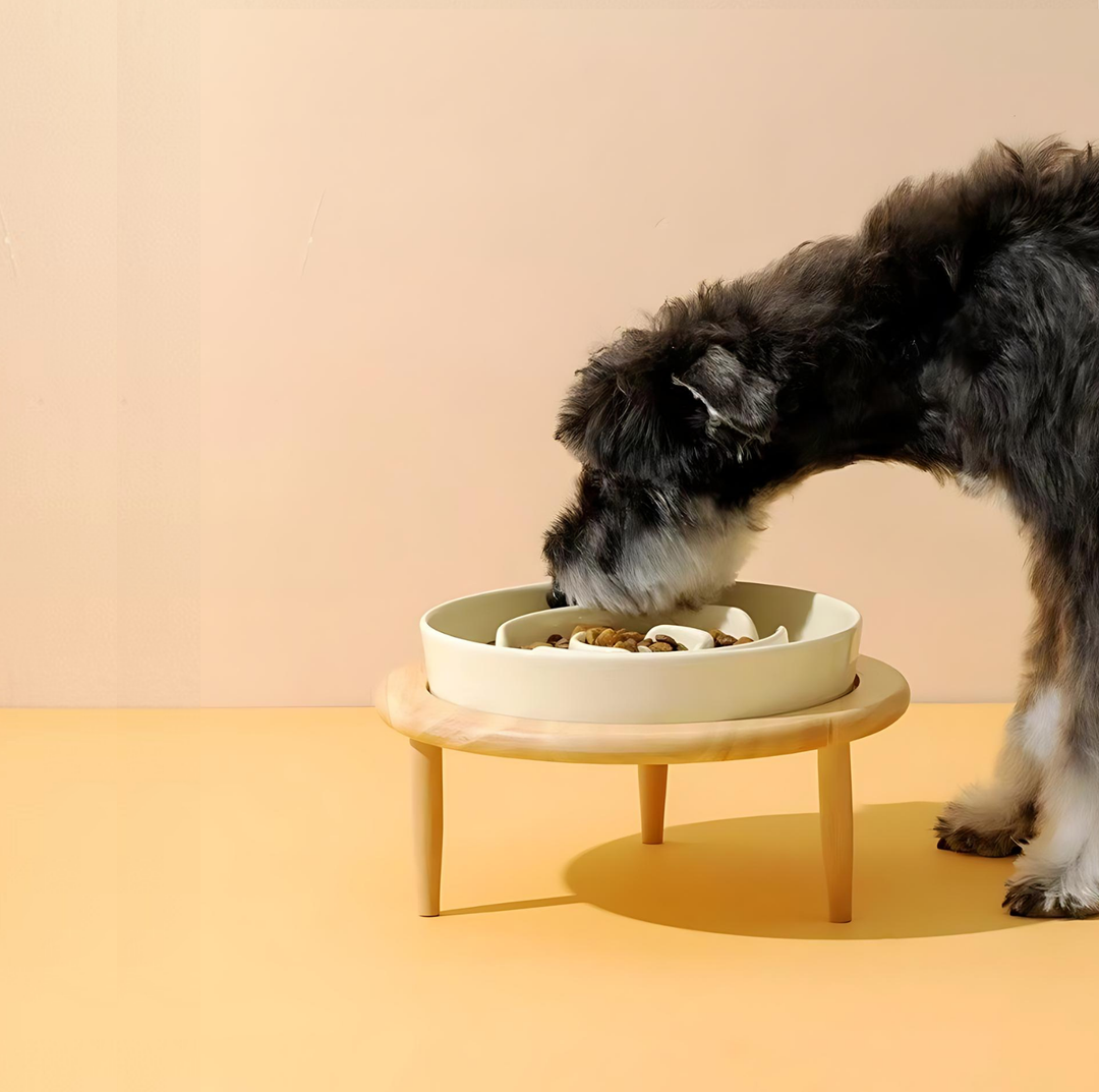 Lisslune | SlowCeramic - Elegant Craft Feeding Bowl for Pets