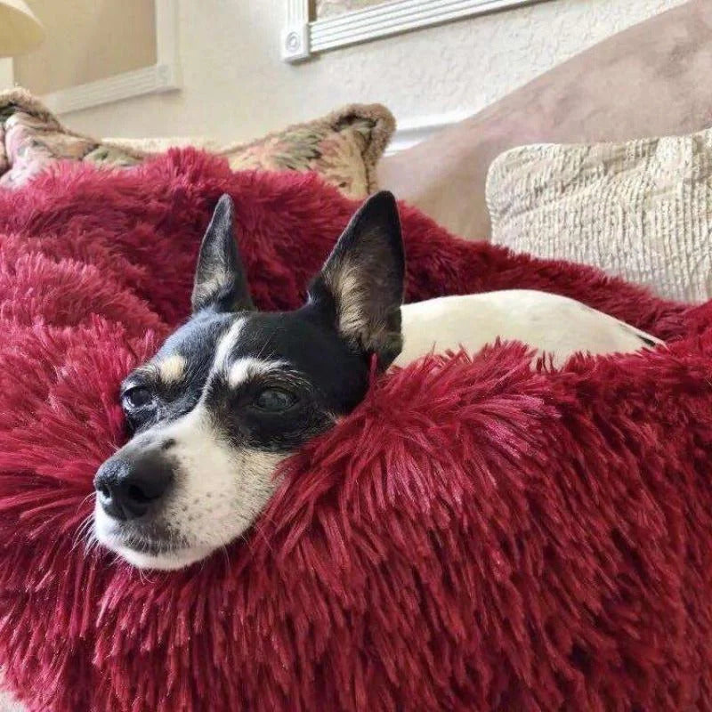 Lisslune | Long Plush Donut Pet Bed with Washable Cover and Non-Slip Base