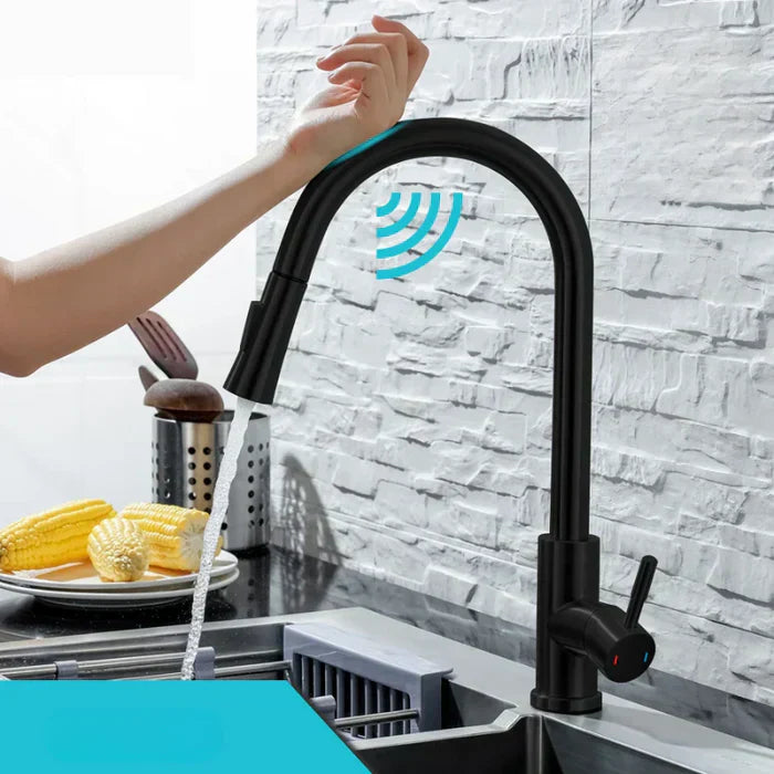 Lisslune | Sensor Kitchen Faucet