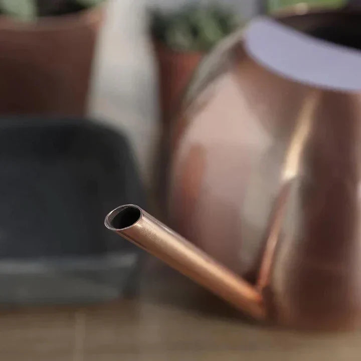 Lisslune | AquaSleek - Precision watering can for delicate plants