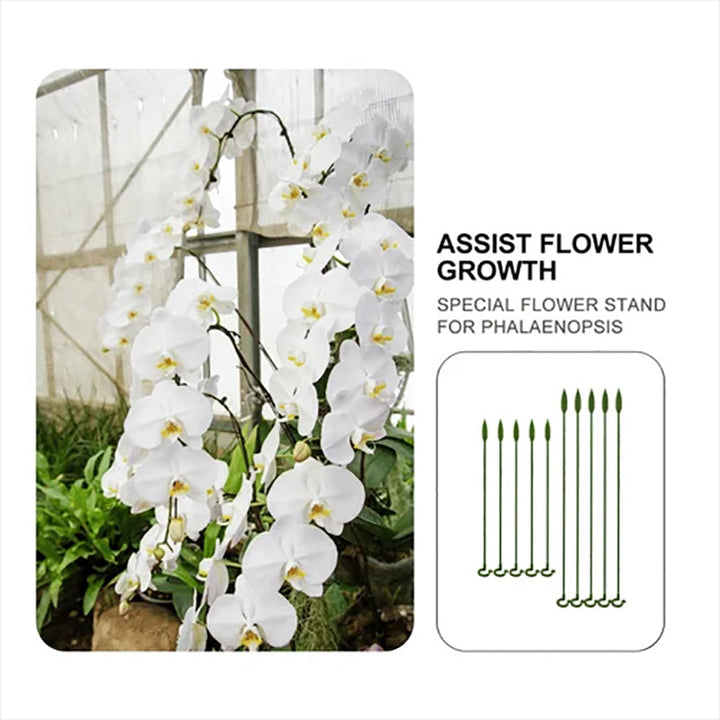Lisslune | Plant Supports Stake