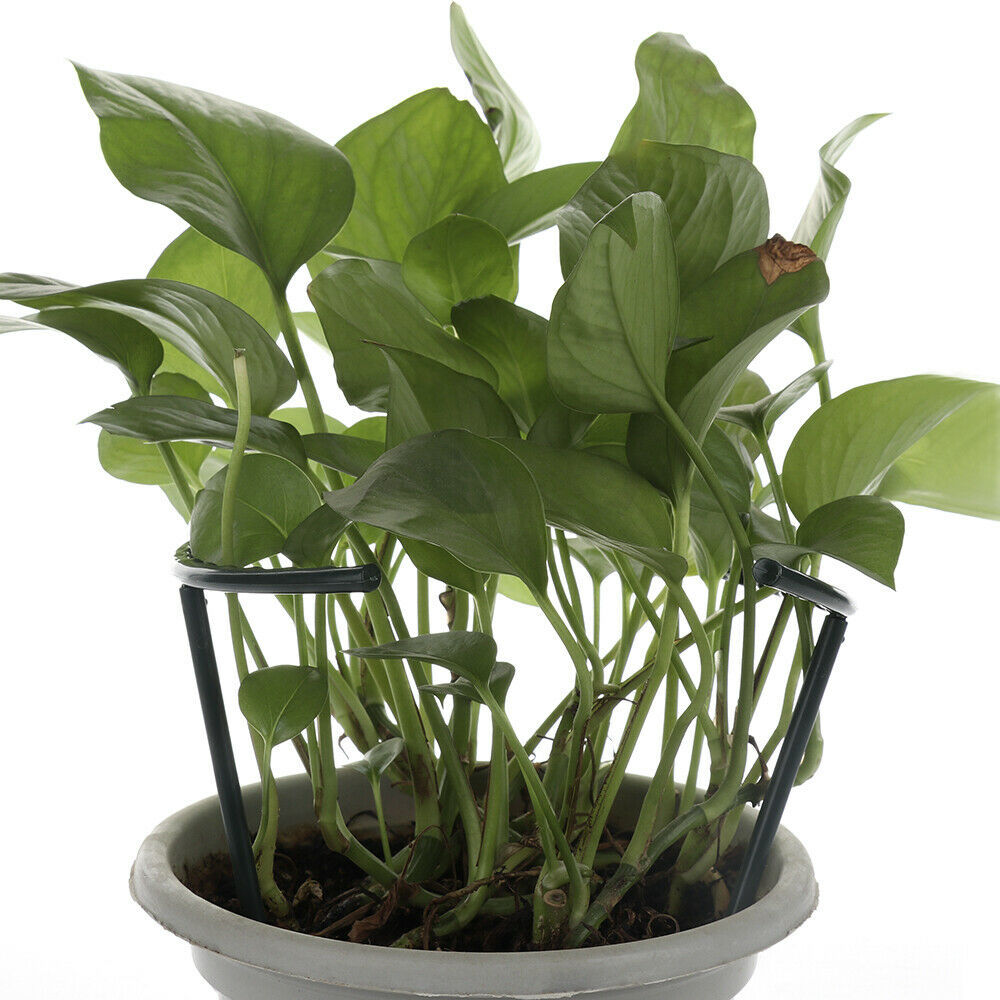 Lisslune | Climbing support for plants – Robust holder with cage design for growth and stability
