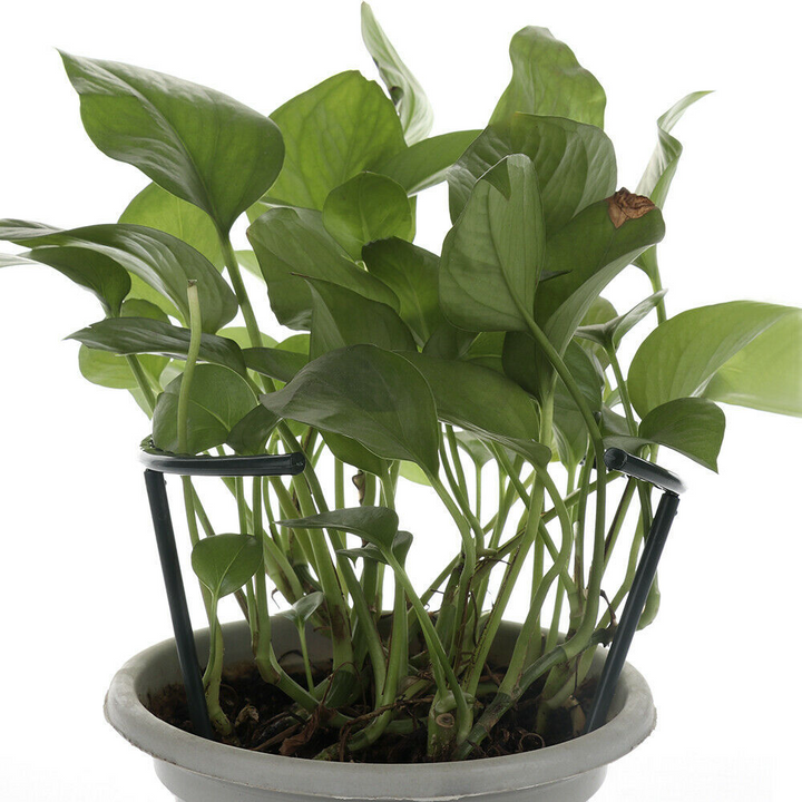 Lisslune | Climbing support for plants – Robust holder with cage design for growth and stability