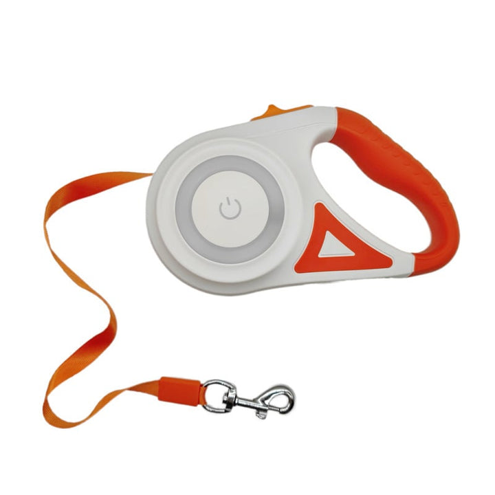 Lisslune | Luminous lead for pets