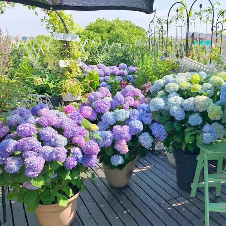 Lisslune | Outdoor Artificial Hydrangea Flowers