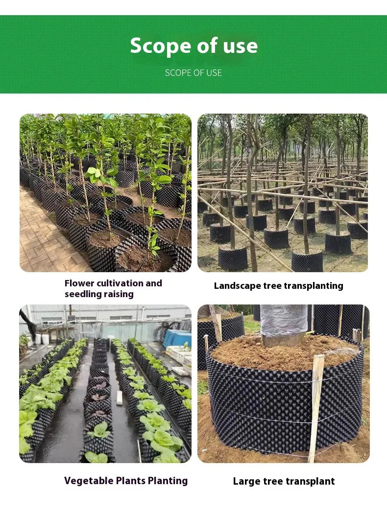 Lisslune | Root control device for plants and landscaping to promote healthy growth