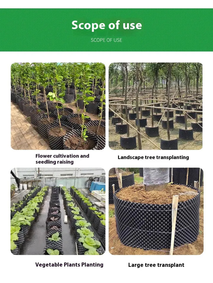 Lisslune | Root control device for plants and landscaping to promote healthy growth