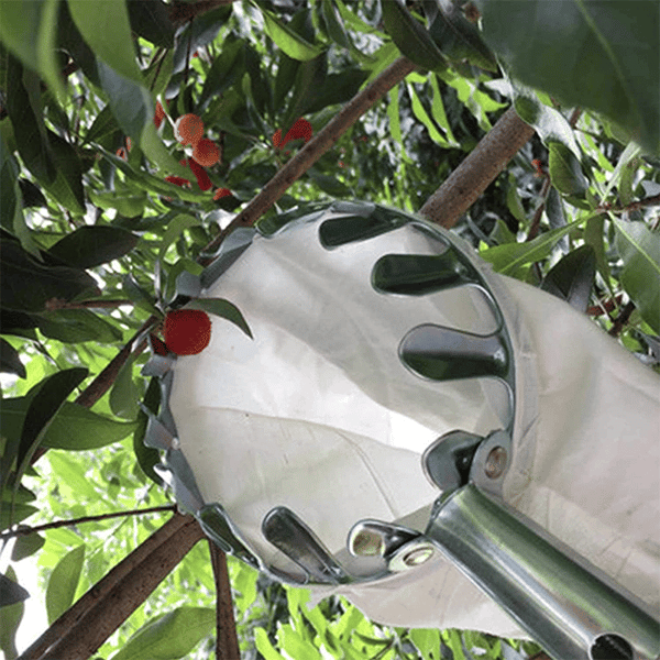Lisslune | Fruit Picker Head Basket
