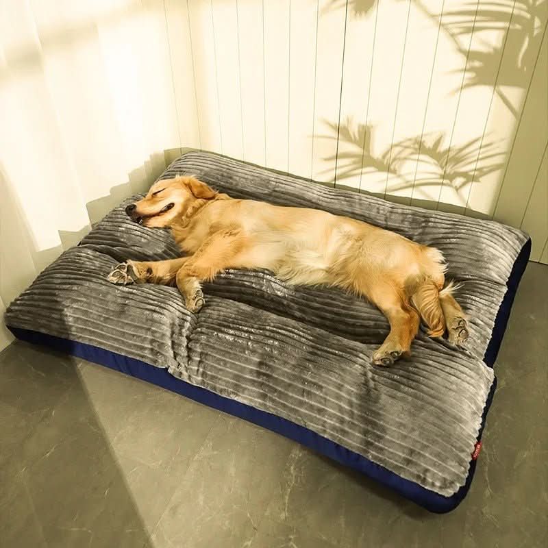 Lisslune | Cozy & Supportive for Restful Nights