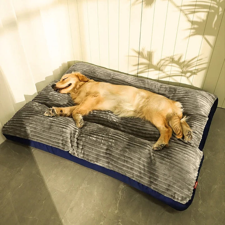 Lisslune | DreamRest Orthopedic Dog Bed – Fluffy, Supportive & Washable Comfort