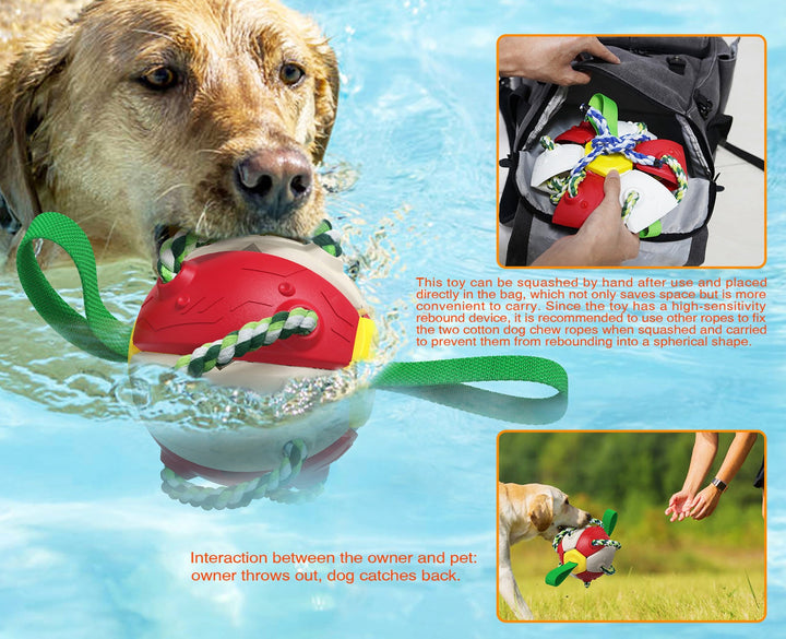Lisslune | Interactive dog toy