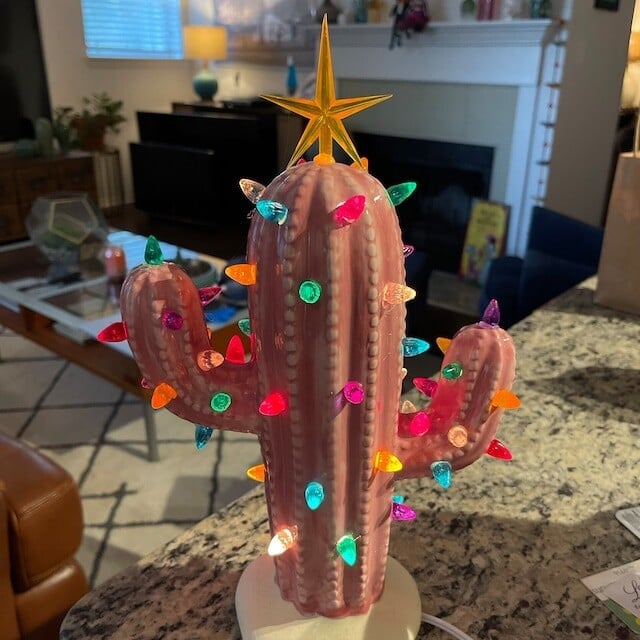 Lisslune | Vintage Christmas Luminous Cactus