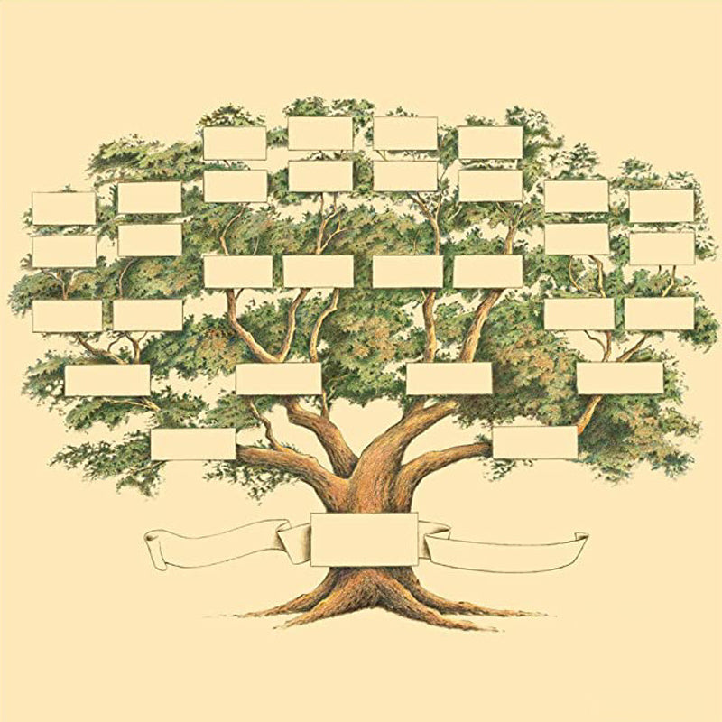 Lisslune | Family History Family Tree Canvas
