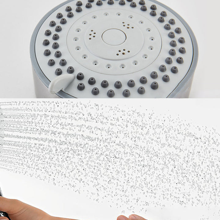 Lisslune | Standard Spray Shower Head Polished Nickel Round Hand Shower