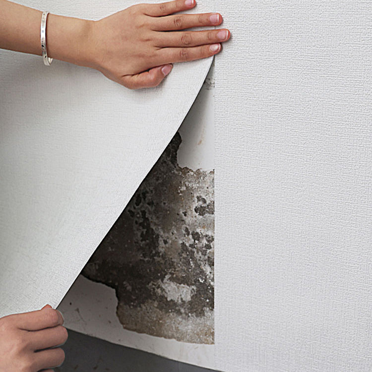 Lisslune | Modern wall coverings panels textured wall interior waterproof plank
