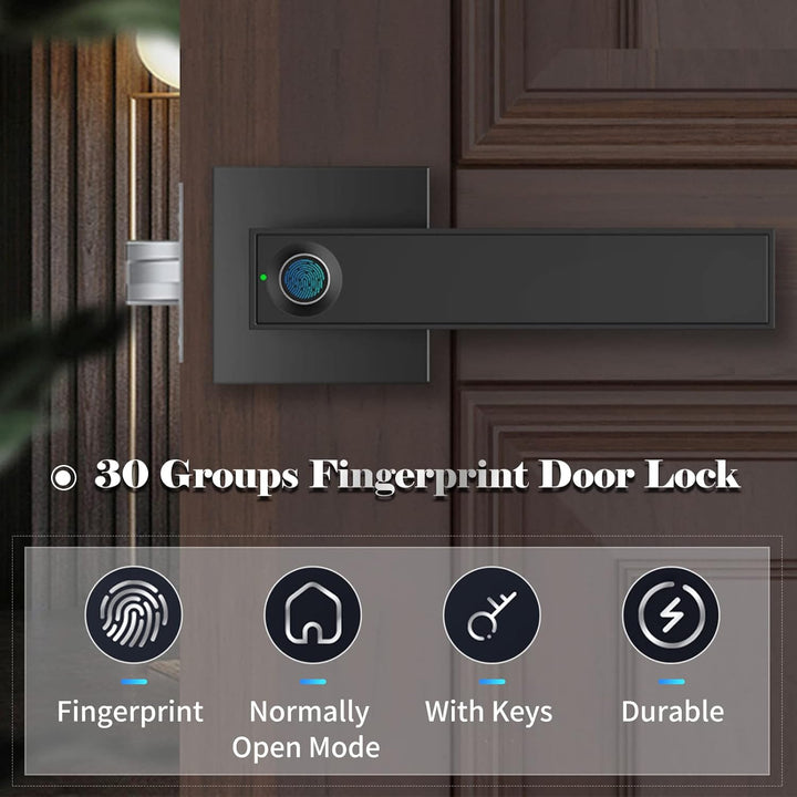 Lisslune | Smart Fingerprint Door Lever Lock with Key Access & 30 User Capacity – Nivora
