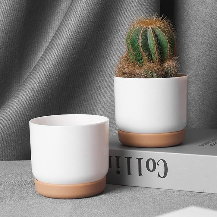 Lisslune | Self-watering flower pot for orchids and plants – Plastic plant container