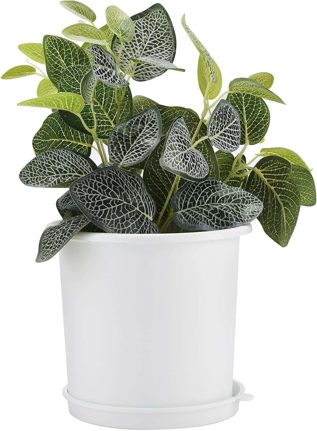 Lisslune | Breathable Root Control Pot for Plants – Ideal for Healthy Growth and Optimal Aeration