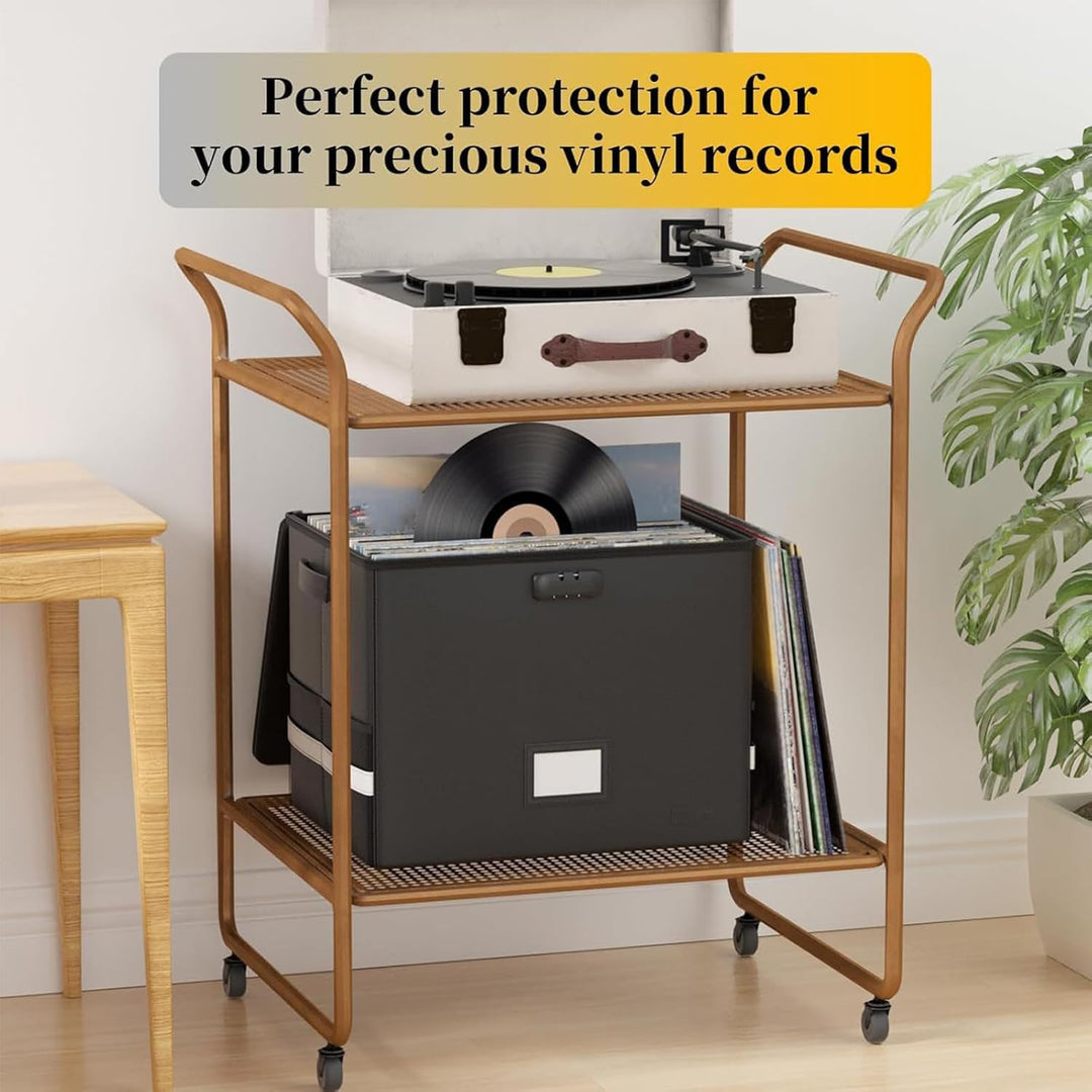Lisslune | Fireproof Record Storage Case – Waterproof Organizer for 150+ 12-Inch Records – Arcion