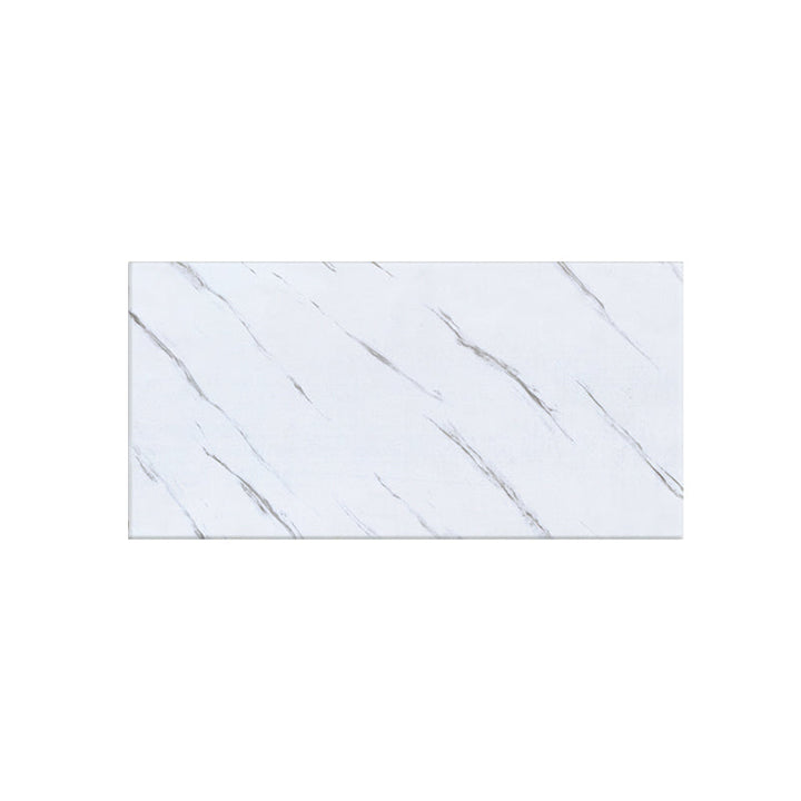 Lisslune | Rectangular Single Tile 12" x 24" Waterproof Splash Wall Tile for Bathroom