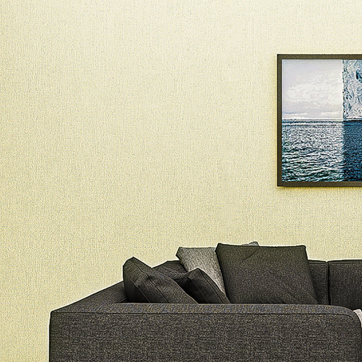 Lisslune | Modern Style Wall Panel PVC Living Room Peel and Stick Matte Texture Wall Covering