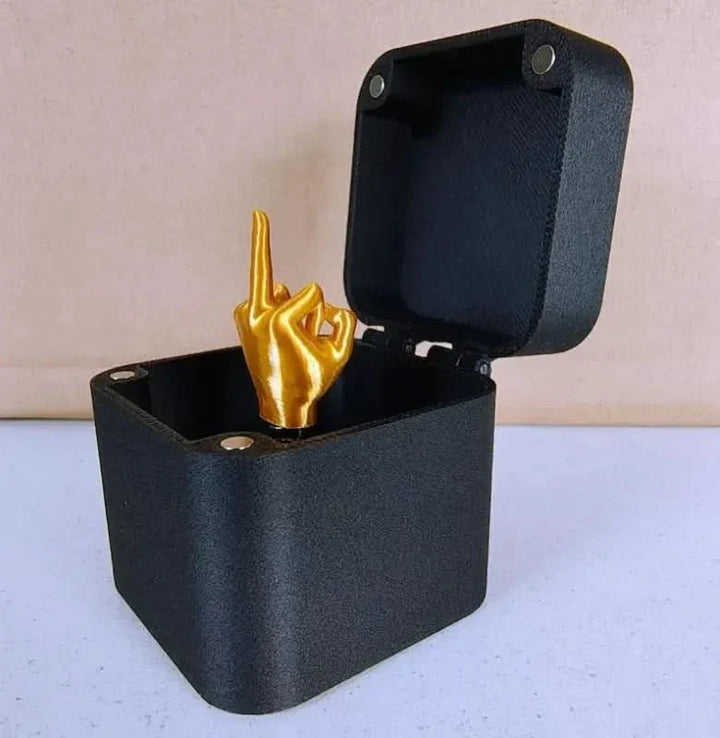 Lisslune | Funny Surprise Gift Box with Hidden Twist – FlipBox
