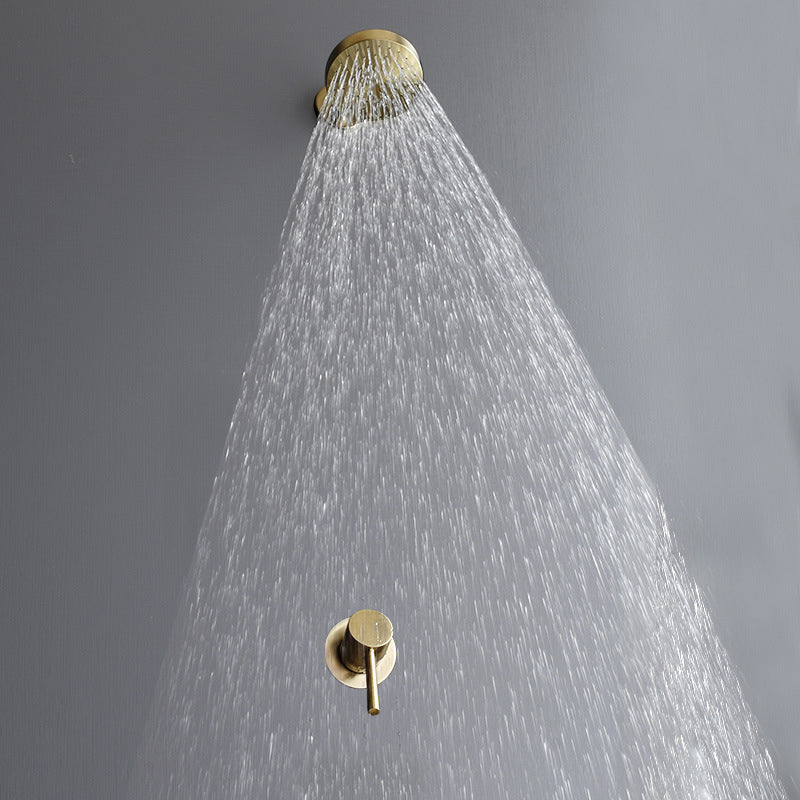 Lisslune | Stainless Steel Shower Combination Round Fixed Shower Head with Shower Arm