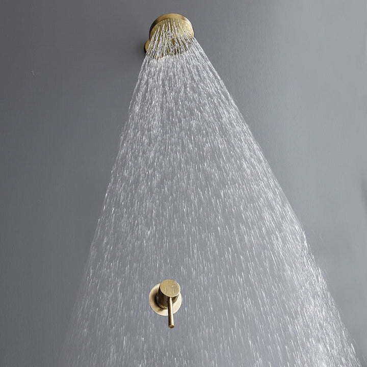 Lisslune | Stainless Steel Shower Combination Round Fixed Shower Head with Shower Arm