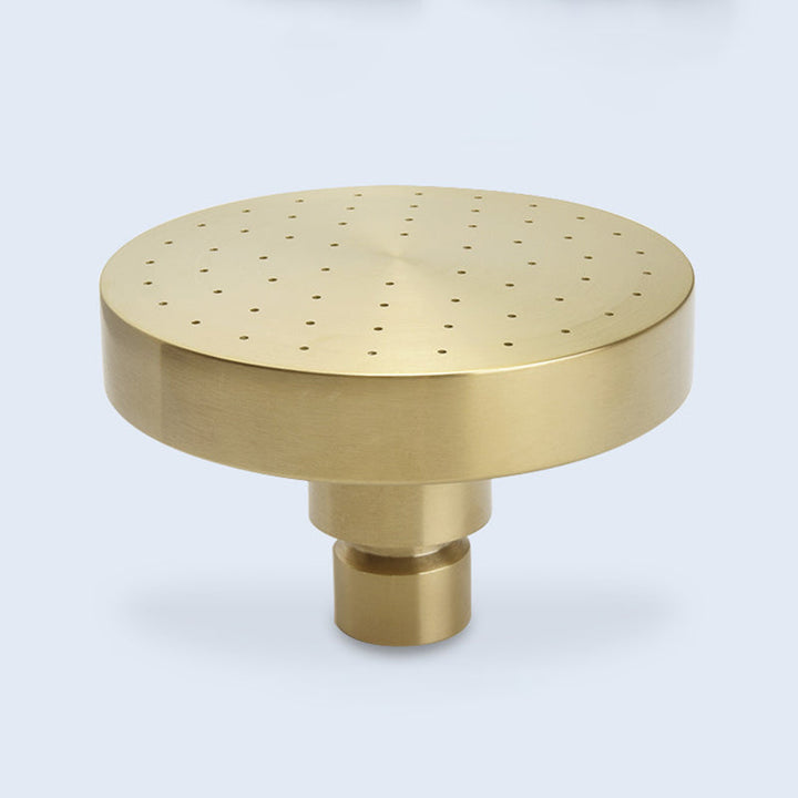 Lisslune | Stainless Steel Shower Combination Round Fixed Shower Head with Shower Arm