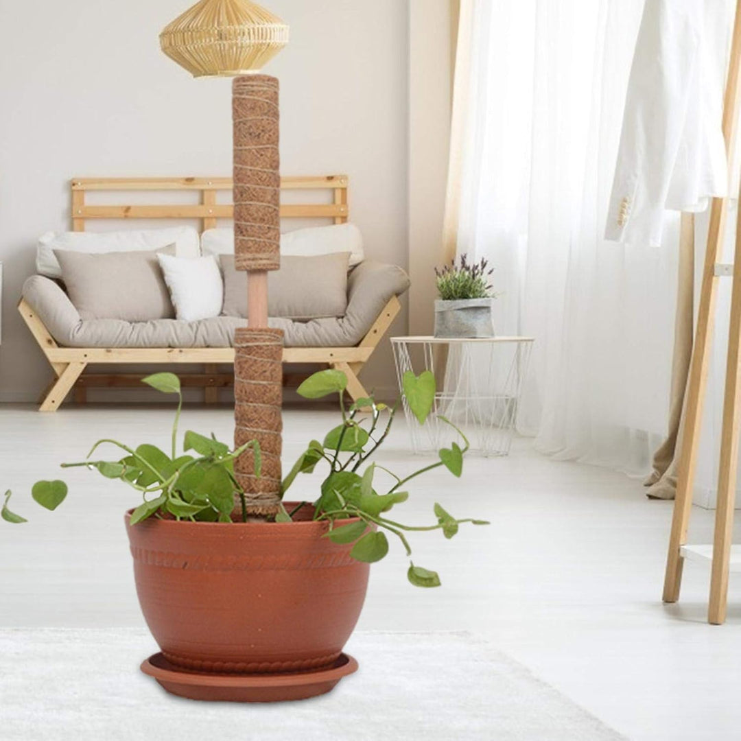 Lisslune | Coconut moss stick for climbing plants – Natural climbing aid for houseplants and garden