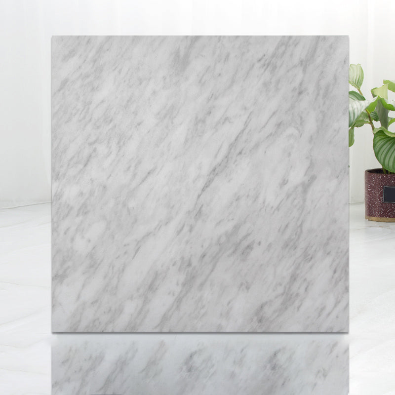 Lisslune | Modern Indoor Vinyl Flooring Peel and Stick Marble Print Vinyl Flooring