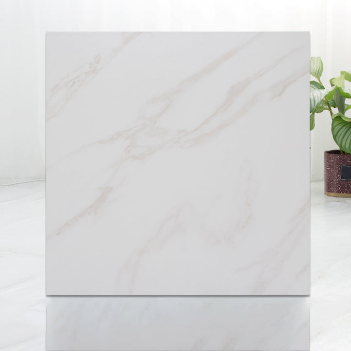 Lisslune | Modern Indoor Vinyl Flooring Peel and Stick Marble Print Vinyl Flooring