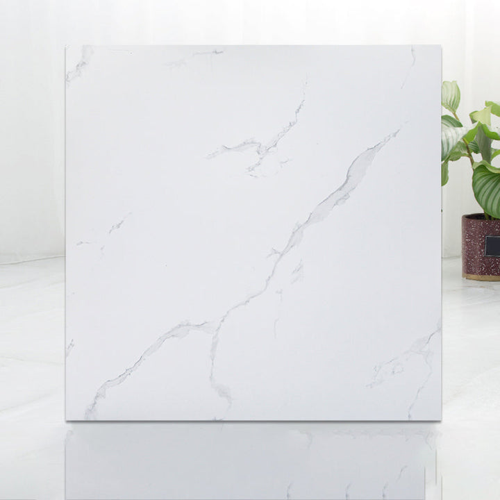 Lisslune | Modern Indoor Vinyl Flooring Peel and Stick Marble Print Vinyl Flooring