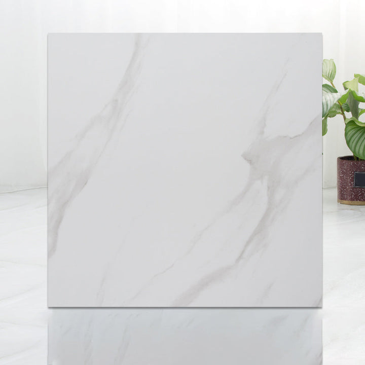 Lisslune | Modern Indoor Vinyl Flooring Peel and Stick Marble Print Vinyl Flooring