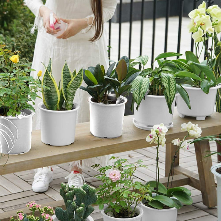 Lisslune | Breathable Root Control Pot for Plants – Ideal for Healthy Growth and Optimal Aeration
