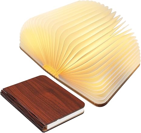 Lisslune | Frendorf Book Light