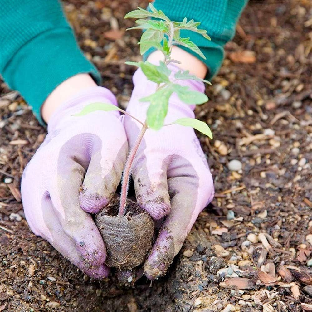 Lisslune | Coconut Fiber Peat Seedling Pellets – Starter for Seed Planting