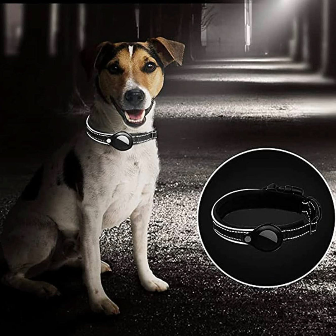 Lisslune | LEAZO - AirTag Dog Collar
