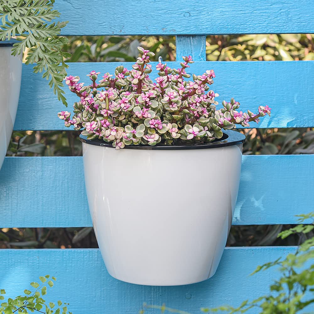 Lisslune | Self-watering hanging plant pot – Modern flower pot for wall mounting