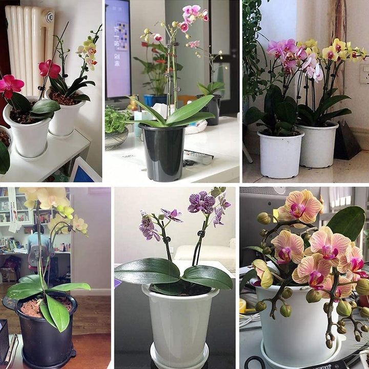 Lisslune | Breathable Root Control Pot for Plants – Ideal for Healthy Growth and Optimal Aeration