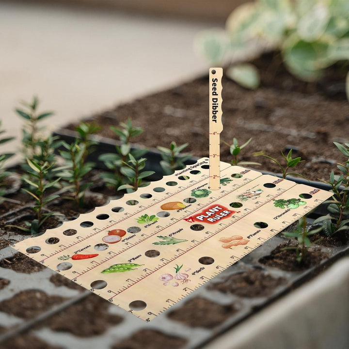 Lisslune | Wood Plant Ruler – Multifunctional Seed Measuring Tool for Garden