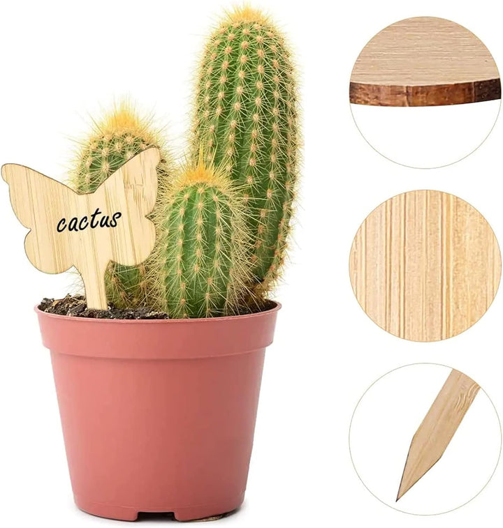 Lisslune | Plant labels made of wood for garden and balcony – Rewritable labels for herbs and plants