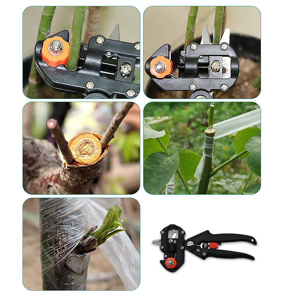 Lisslune | Grafting and cutting tool set for precise plant grafting