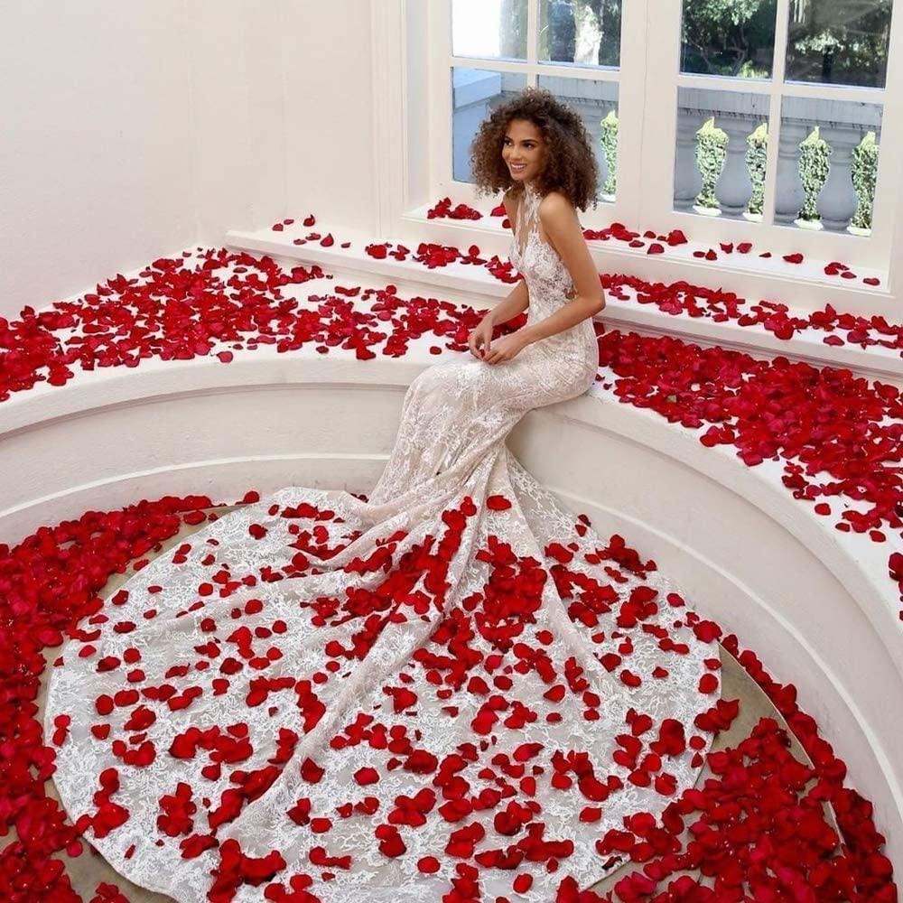 Lisslune | Romantic Elegance Silk Rose Petals Collection: 1000 Luxurious Red Petals for Memorable Celebrations