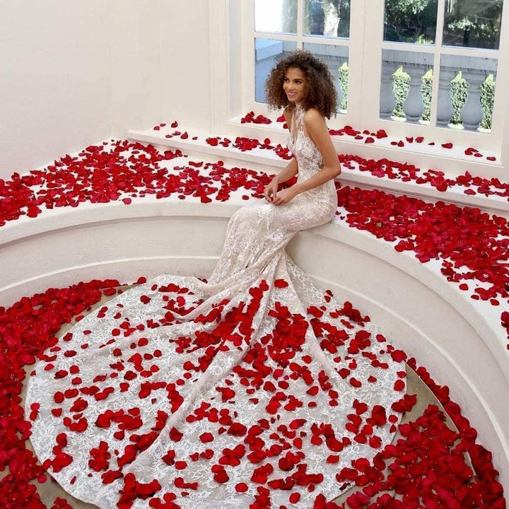 Lisslune | Romantic Elegance Silk Rose Petals Collection: 1000 Luxurious Red Petals for Memorable Celebrations