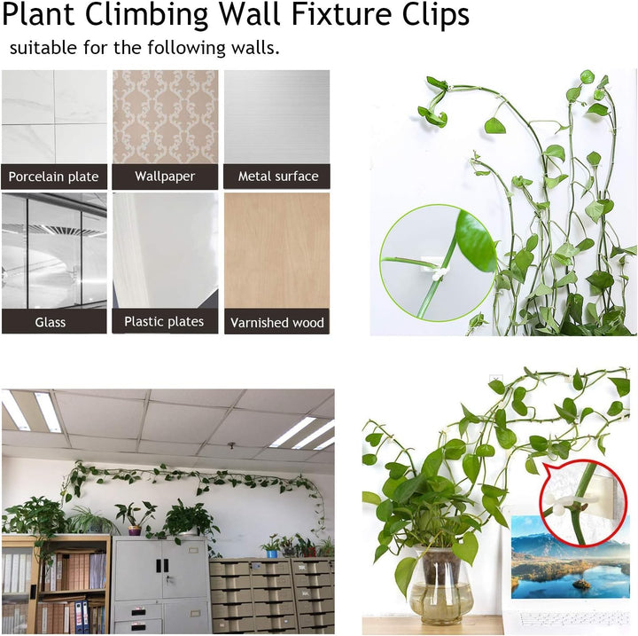 Lisslune | Climbing Wall Mounting Clips – Practical Plant Holders for Wall Decoration