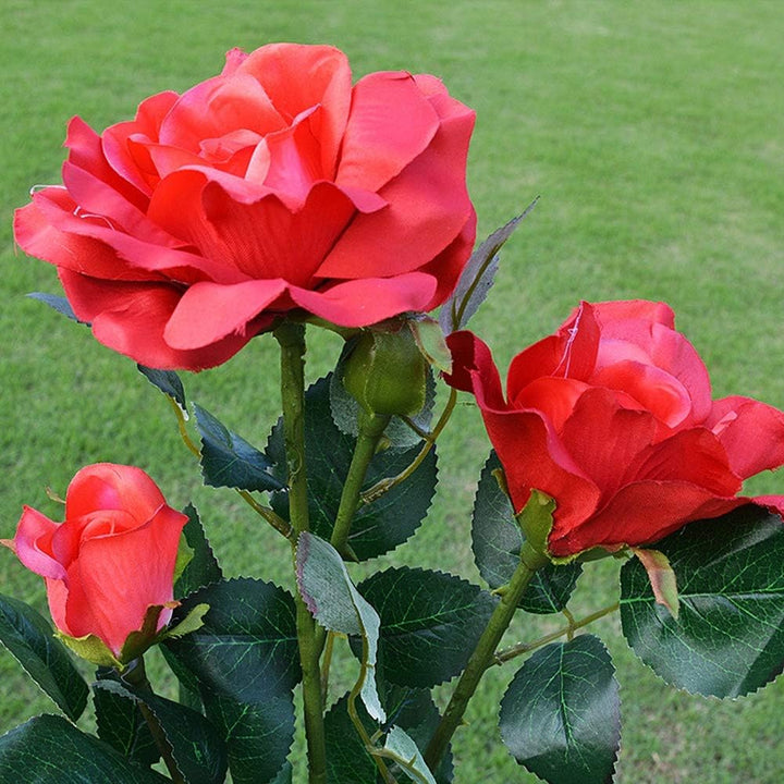 Lisslune | Solar-powered rose lights – garden stakes with solar panel for decorative lighting
