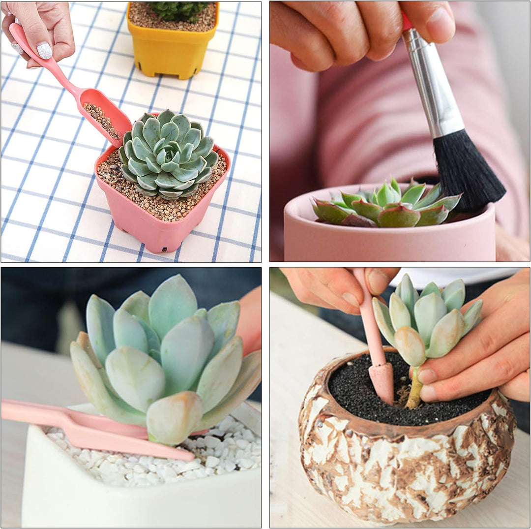 Lisslune | Combination set for succulent planting tools – Practical set for care and planting