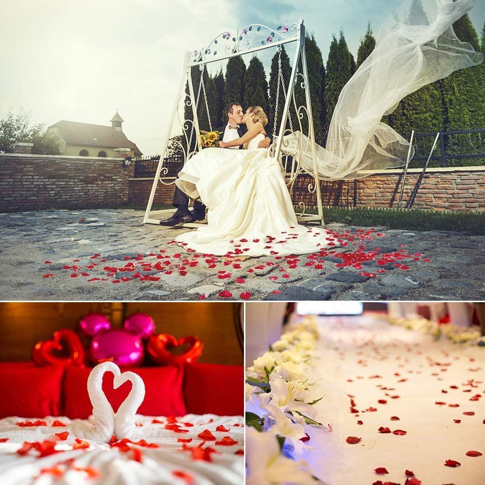 Lisslune | Romantic Elegance Silk Rose Petals Collection: 1000 Luxurious Red Petals for Memorable Celebrations