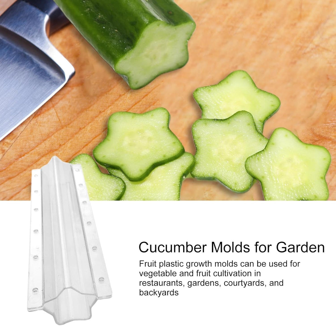Lisslune | Star shape vegetable mold for cucumbers – Creative mold rail for fruits and vegetables